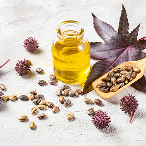 Castor Seed Oil